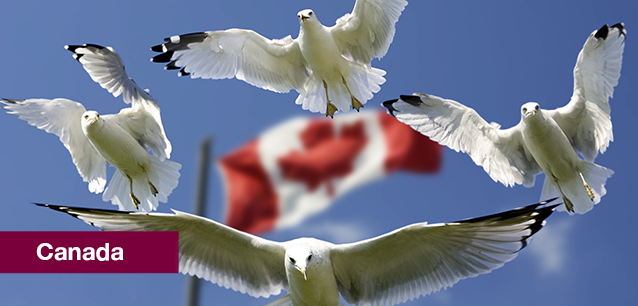 Image representing Canada category